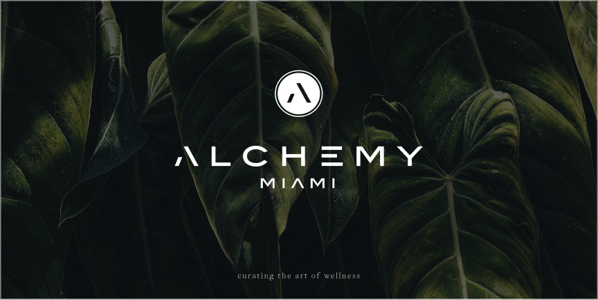 AM-ChapterX-Asset-Opt-3@3x-100